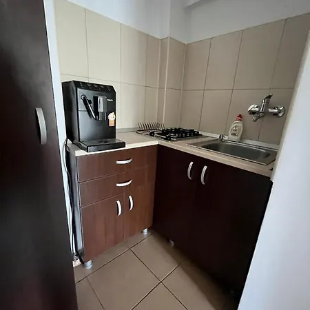 Apartament Ilinca Apartment